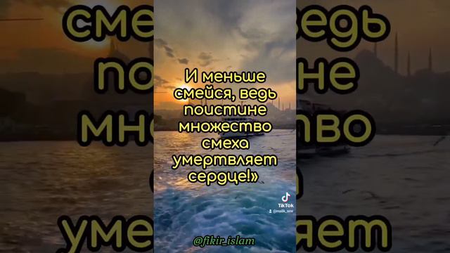 #ислам #коран #хадисы #истина #знание #сунна #пророкмухаммадﷺ #разум #отношение #человек #судныйден