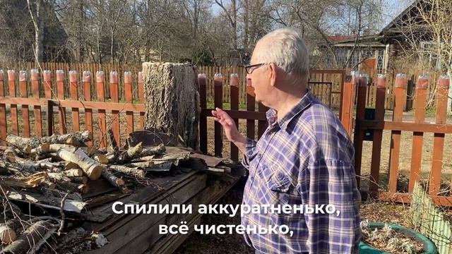 Отзыв от Виктора Васильева после удаления берёзы. Ленинградская область, п. Толмачево. смотреть онлайн