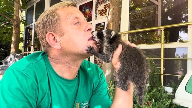 Вы такого ТОЧНО НЕ ВИДЕЛИ, Олег Зубков учит енотика Тему КУШАТЬ ФАРШ, чтобы выжить))) смотреть онлайн