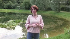 Поступление. Задание 2