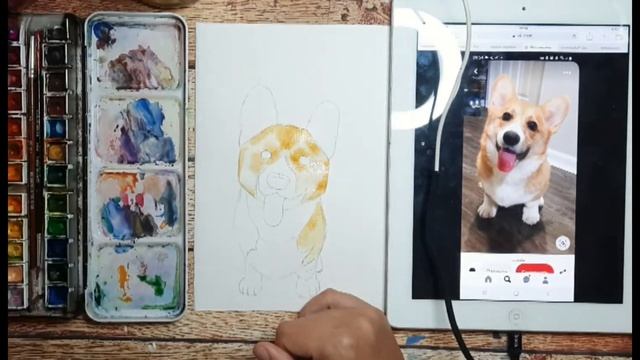 Урок рисования| Акварель| Учимся рисовать акварелью| Как нарисовать собаку. смотреть онлайн