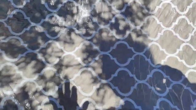 Rescued Dog Karina Gets a Day Bed 1st August смотреть онлайн