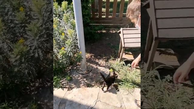 Экскурсия от организатора экскурсий в Аланьи Рамзана Мумина. Контактный телефон +90 536 498 43 53 смотреть онлайн