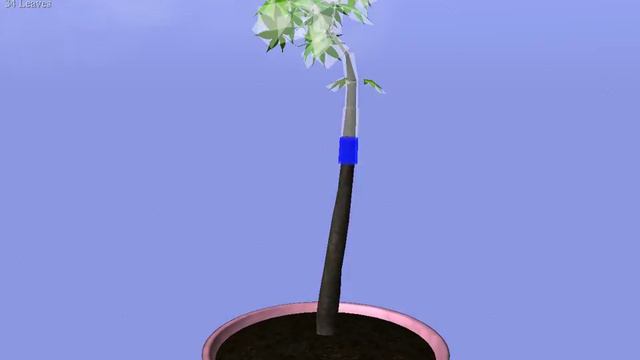 GoBonsai- симулятор дерева! смотреть онлайн