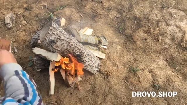 Горение дров из Осины - DROVO.SHOP смотреть онлайн