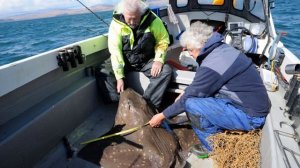 Ep  121 Dr  Dietrich Burkel, Scottish Skate Tagging Program