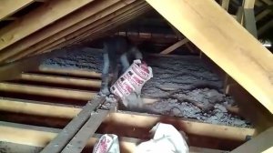 Утеплитель для дома Woodex.  БЕРИ и НАСЫПАЙ!