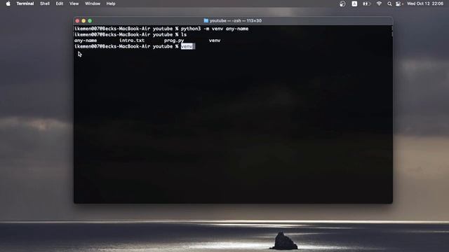 Python Virtual Environment over explained #python