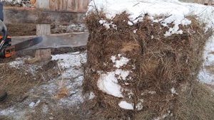 Пилим сено бензопилой