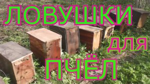 Обзор ловушек для  ловли бродячих роев