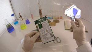 Огурец Маринда F1. Поиск