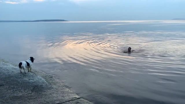 Водохранилище