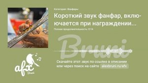 Звук: Короткий звук фанфар, включается при награждении человека