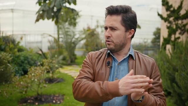 Лидер по продаже гвоздик – плантация Geoflora | Колумбия | Цветы оптом