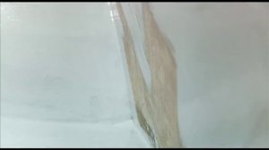 Самолет-амфибия СК-12 Орион. Сделано в Сибири.