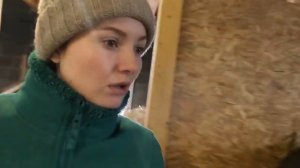 Все время какие то НЕОЖИДАННОСТИ. Родила коза. Куры теперь несуться каждый день + много новостей