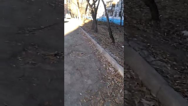 Как загадили дворы. Курчатовский район, Челябинск смотреть онлайн