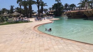 Sentido Phenicia 4*,Тунис, Хаммамет. Обзор отеля/