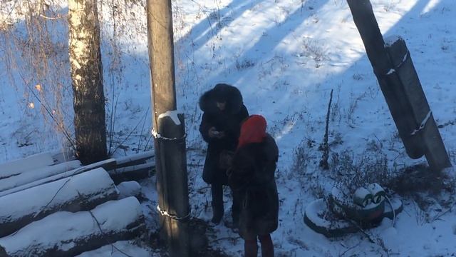 В поисках закладки смотреть онлайн