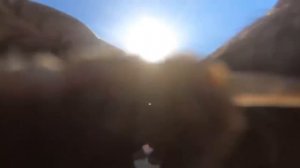Любопытный попугай украл у туристов GoPro и снял собственное видео))