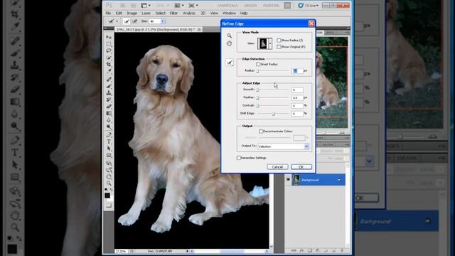 Photoshop - Easily extract images from background using refine edge смотреть онлайн