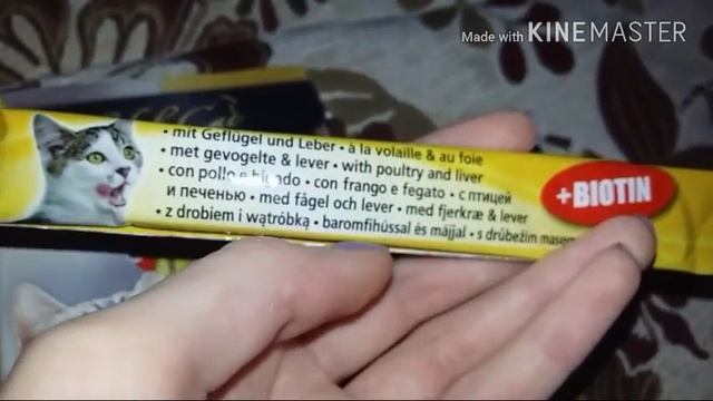 Зоо покупки? Деревенские лакомства,Royal Canin, мальт паста ,Edel cat смотреть онлайн