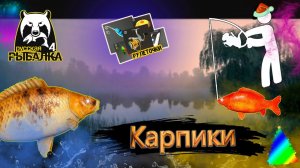 РР4/ рыбалка для души, ловим как универсал, общаемся 8.01.23