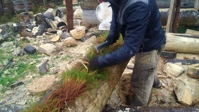 Сруб бани ручной рубки - прокладывание мха в пазы и чаши http://elitdrevdom.ru смотреть онлайн