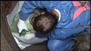 ОБОРУДОВАНИЕ ДЛЯ ВОССТАНОВЛЕНИЯ ТРУБ, САНАЦИЯ ТРУБ СТЕКЛОПЛАСТИКОВЫМ РУКАВОМ 1