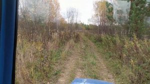 Съездил в Кировскую обл. заехал в свою деревню.