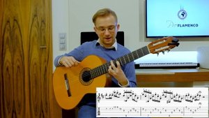 Beautiful Spanish Guitar Chords with Tabs - Flamenco Guitar Lesson for Beginners (Part 4)