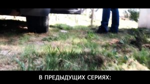 ЛЕГЕНДАРНЫЙ СЕРИАЛ О БЕЗДОМНОМ КОТЕНКЕ Лайки [От первого лица] Серия 1-5