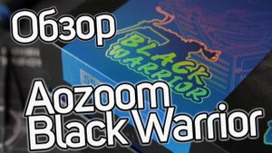 Обзор Aozoom Black Warrior. Когда нет выбора.