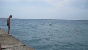 Крым. Гаспра. Море