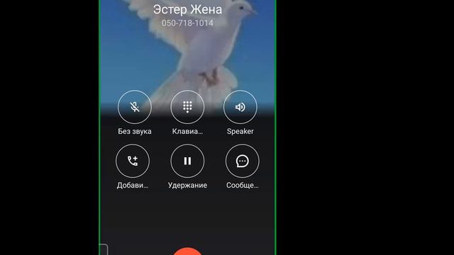 книга йурцат день памяти продолжаем изучать .....для поднятия души Юля Шуломит дочь Моше смотреть онлайн