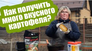 ГЛАВНЫЕ УДОБРЕНИЯ ДЛЯ КАРТОФЕЛЯ! Подкормка картофеля что, сколько, и когда вносить