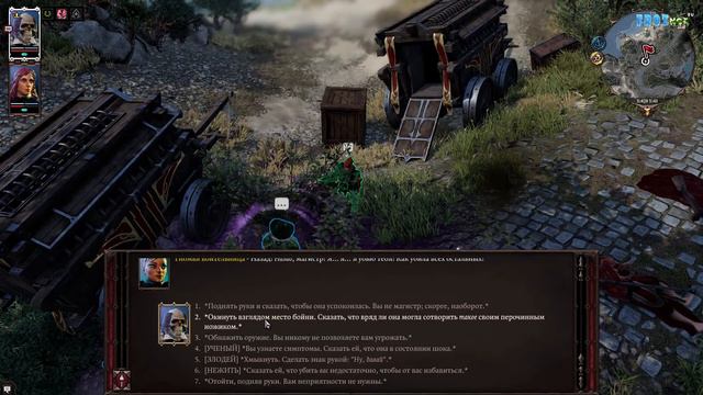 #22 ПОБЕРЕЖЬЕ ЖНЕЦА - ДОРОГА В ДРИФТВУД 🔪 СЛОЖНОСТЬ ТАКТИКА 🔥Divinity Original Sin 2 DE