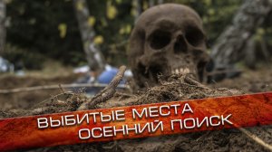 Полевые новости #9 | Останки солдат | Выбитые места | EE88
