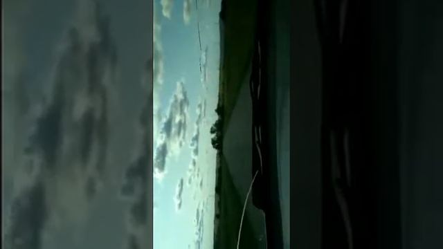 Зауралье, село Отряд-Алабуга. Курганская область. Природа России