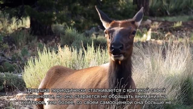 Как выглядит бразильская плюс-сайз модель с 6 размером груди и целлюлитом
