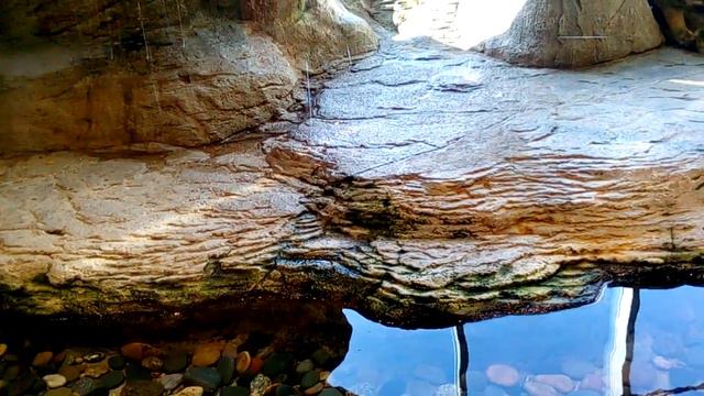 Прогулка по Гранту - Всё те же и красноухие черепахи смотреть онлайн