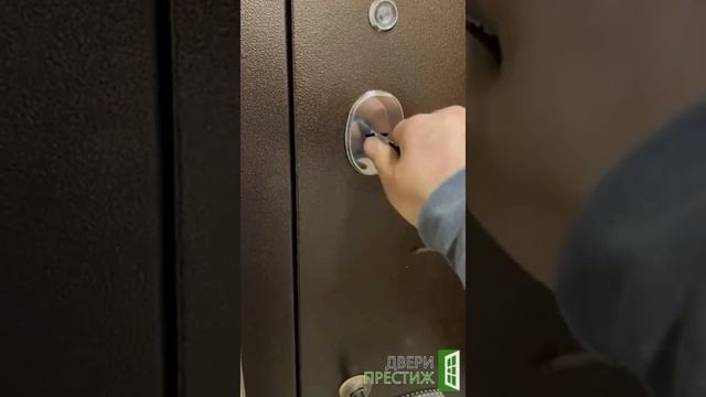 Входная дверь Йошкар Ола Альт Зеркало Белый матовый