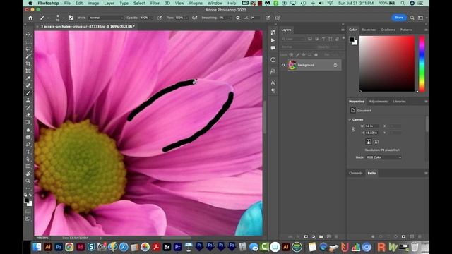 5 Essential Tools I use All the Time in Adobe Photoshop смотреть онлайн