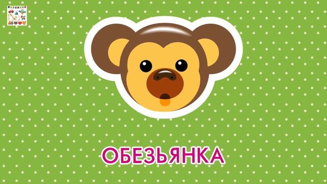 Видео для детей • Угадай, чья мордочка? смотреть онлайн