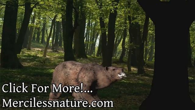 Bear Furry Vore Animation смотреть онлайн