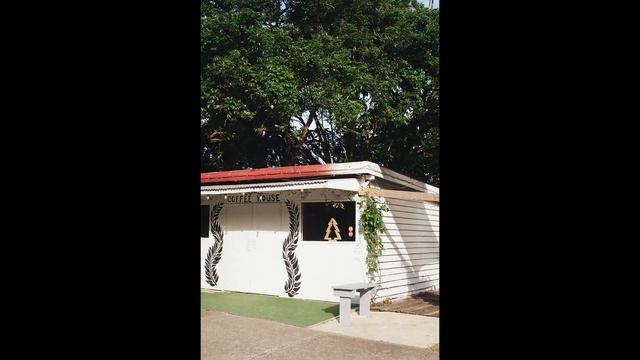 BEACH HOLIDAY on FILM - IS KODAK GOLD 200 the BEST FILM for BEACH PHOTOGRAPHY? смотреть онлайн