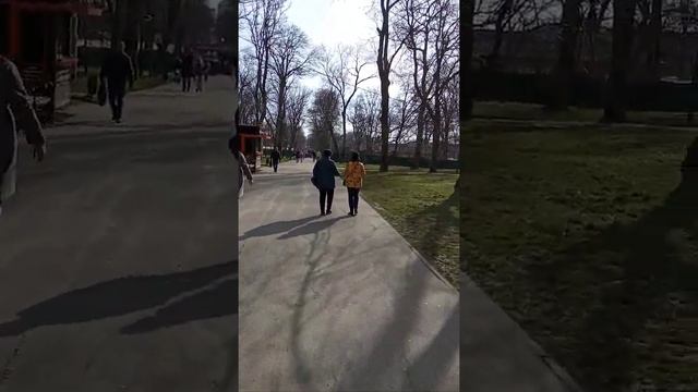 Парк Чистяковская роща в Краснодаре смотреть онлайн