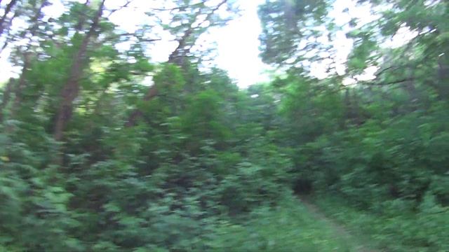 Как меня учили географии/Болтология ИМХО смотреть онлайн