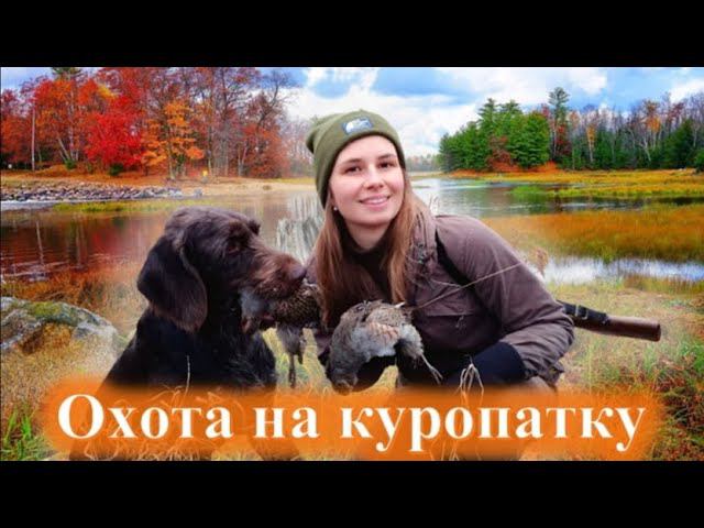 Охота на куропаток, девушка охотник, girl hunter, partridge hunting смотреть онлайн