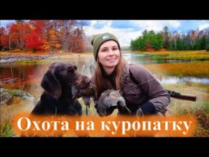Охота на куропаток, девушка охотник, girl hunter, partridge hunting